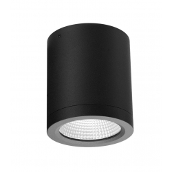CONYON IP54 15W CCT SWITCH PLAFON ZEWNĘTRZNY   AZZARDO