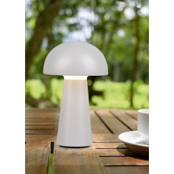 LENNON LED LAMPA PRZENOŚNA  RL R52176177