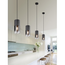 ROBIN ZWIS 1 310600132 Trio Lighting