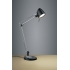 RADO LAMPA BIURKOWA 527690132 TRIO LIGHTING